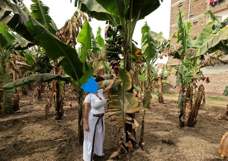 babylonias star porn picture