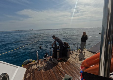 babylonias sex pornstar galleries