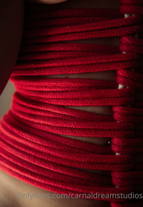 carnaldreamstudios pornstar sex photo