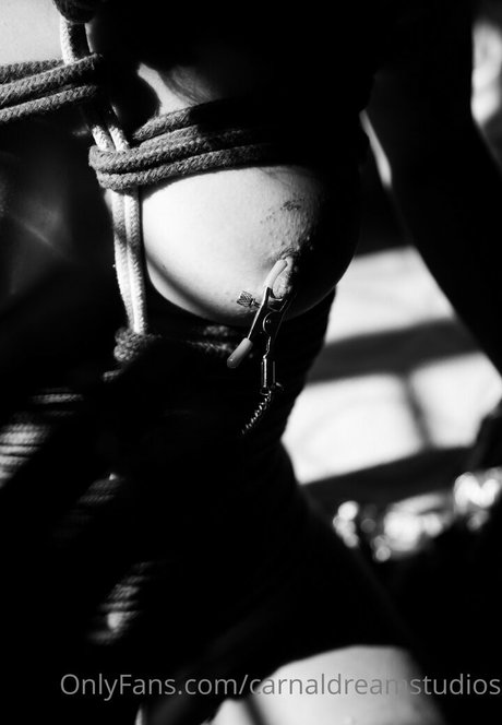 carnaldreamstudios model nudes pictures