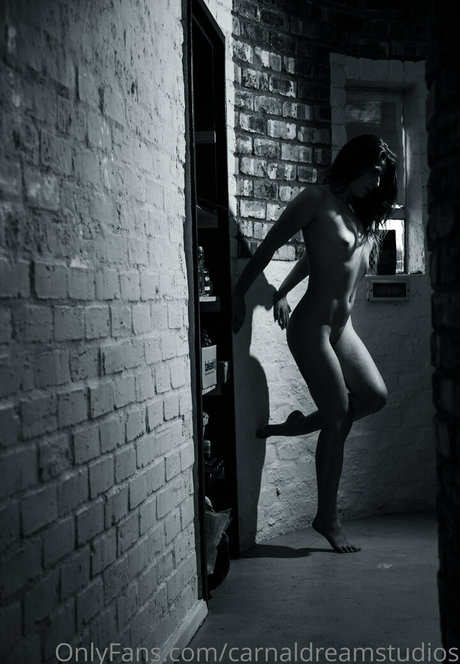 carnaldreamstudios model free images