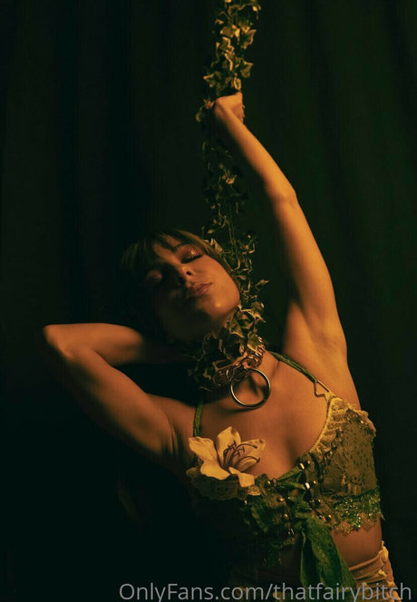 mj noble exclusive pornstar gallery