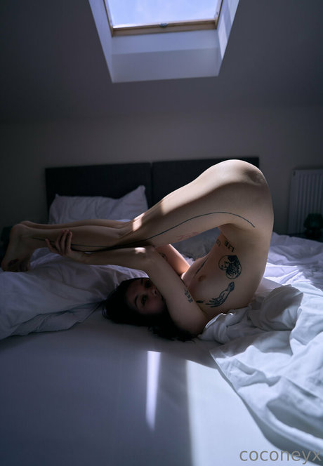 Coconeyx pornstar nice galleries