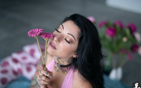 Alerose xxx star archive