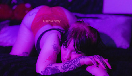 bluddycherryfree beautiful star archive