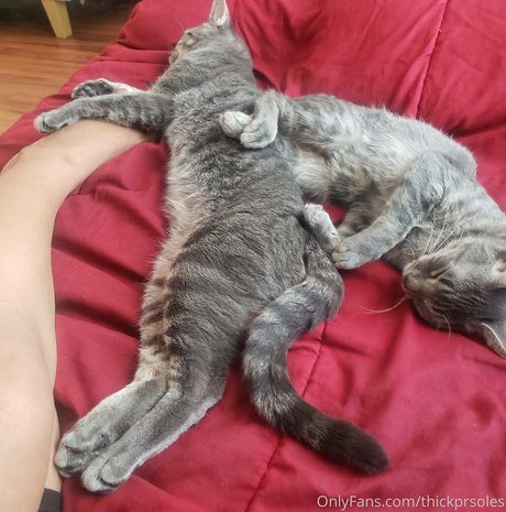 nurse roleplay onlyfans nudes pics