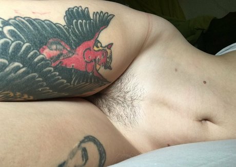 parisbush hd star archive