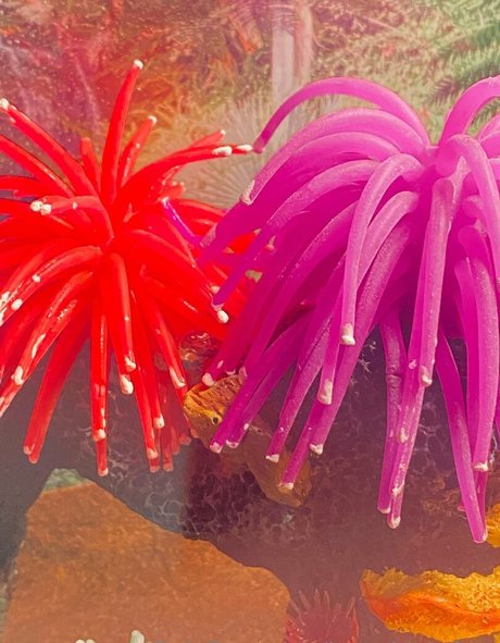 battybitxxfree art model photos