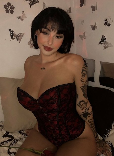 Paaaubg star art gallery