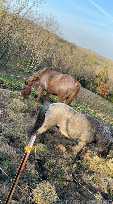 Spellbound hot actress gallery