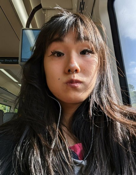 oomfiekat perfect star picture