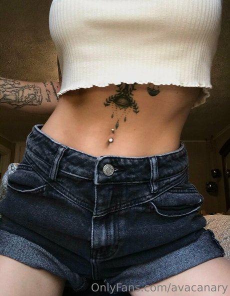 avacanary pornographic actress galleries