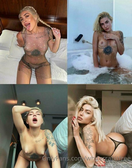 whiterrabitfree high quality model archive