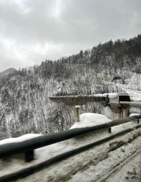 waywardme xxx star galleries