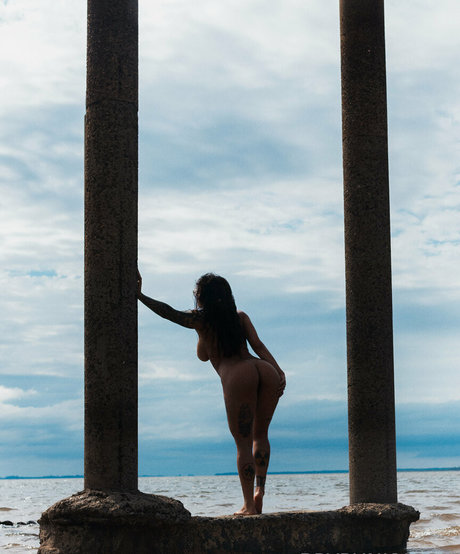 brypunkyfree free pornstar pictures