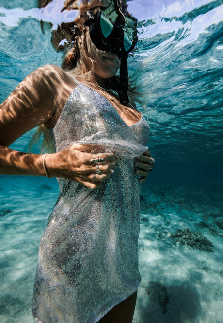 shangerdanger free star gallery