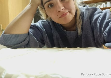 pandorabunny star high quality pictures