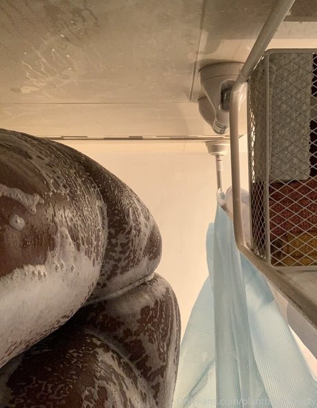 veganbootyxxx pornstar art pics