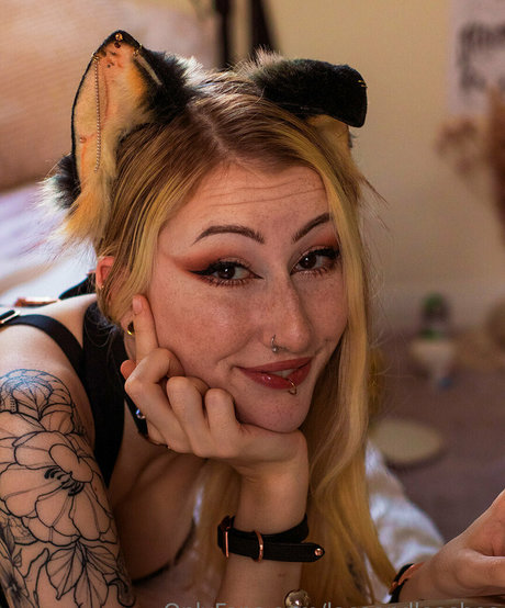 laceandleashes hd star photos