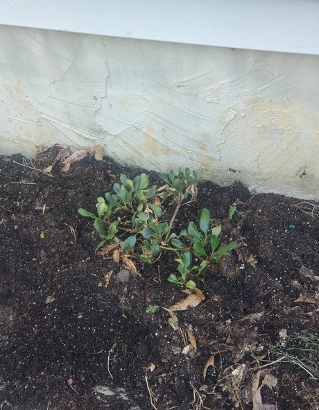 blowjob milf onlyfans free xxx photo