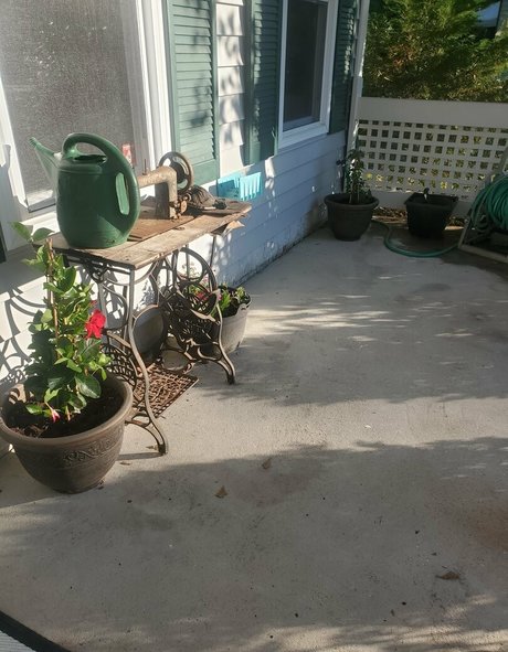 bee88i model pretty image