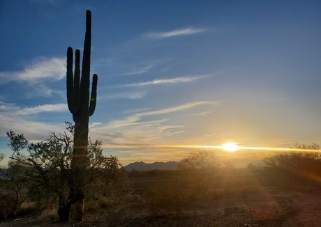 curly ebony onlyfans erotic archive