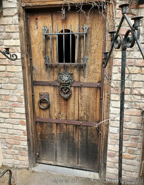 bee88i model gallery