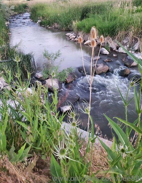 bee88i free actress image