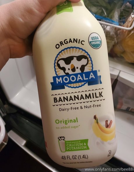 bee88i adult star photos