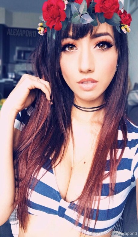 alexapond art star galleries