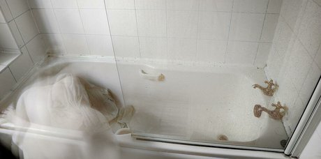 Tan Smith star high quality galleries