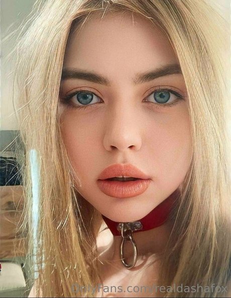 realdashafox hd star pic