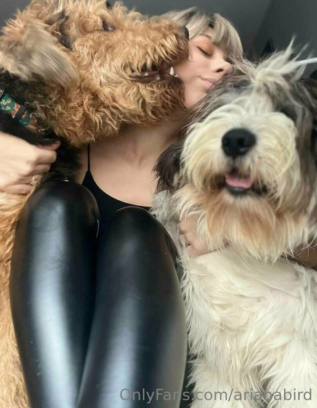 arianabird erotic pornstar galleries