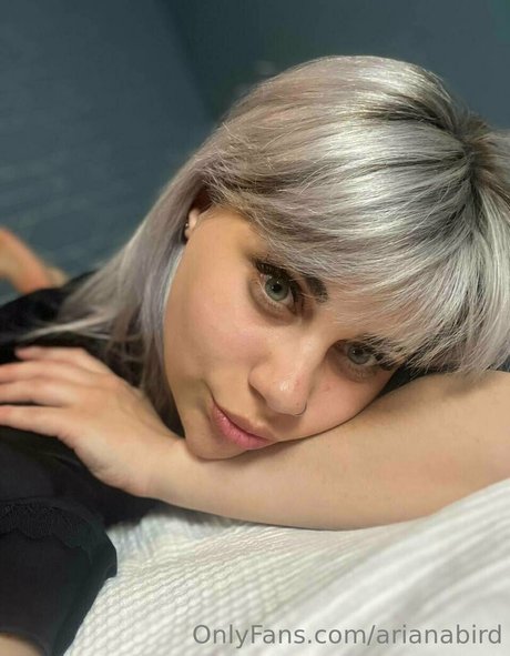arianabird high quality pornstar img