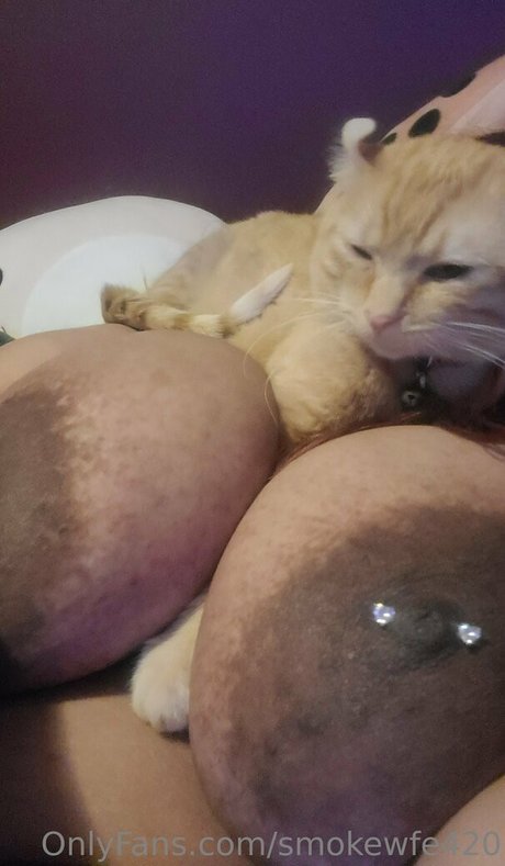 smokewfe420 perfect model image