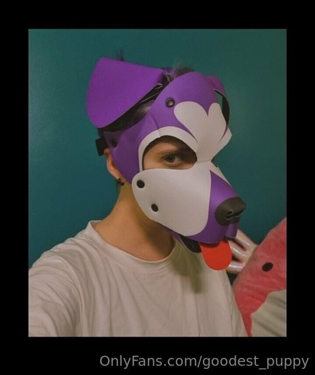 goodest puppy star adult picture