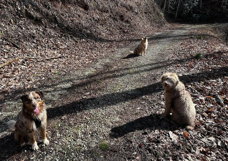 callmecandacee model adult pics