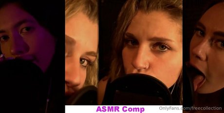 freecollection star porn pics