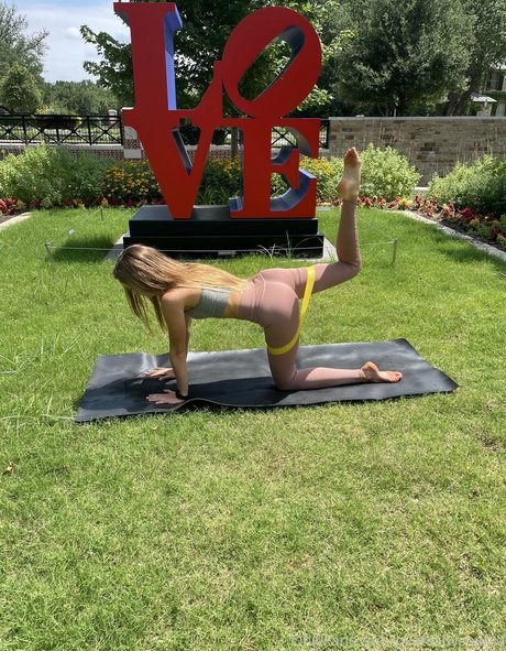 flowwithsky star nice pictures