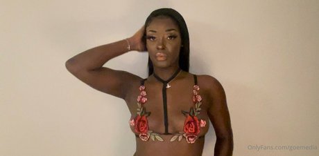 goemedia Quick model image