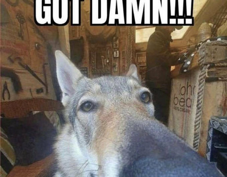 ghettogoth xxx model pic