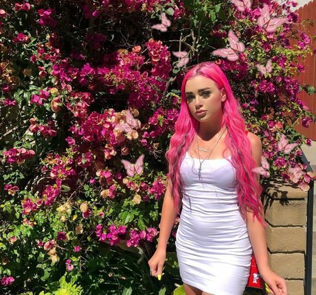 Viperous beautiful star photo