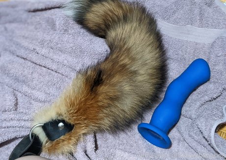 bambiibabee nude pornstar galleries