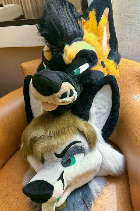 palacewolf pornstar erotic archive