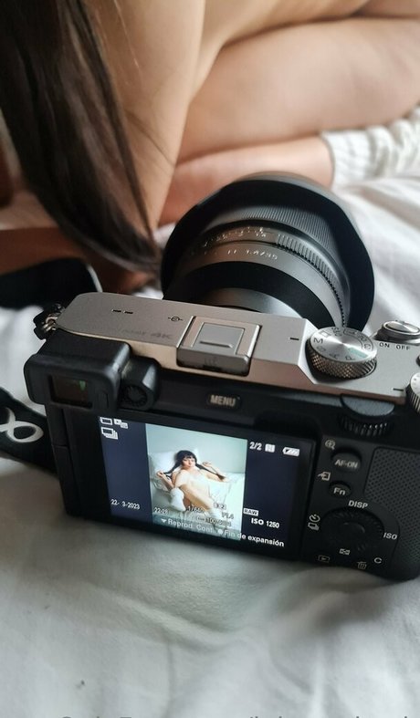 johnx shock model best gallery