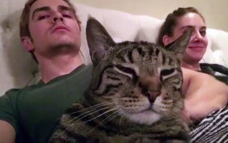 chubby solo onlyfans sexy archive