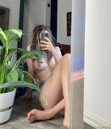 cencherry model nice galleries