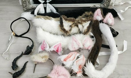 wuffelipuffelifree star img