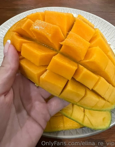 Elina re vip model sex image