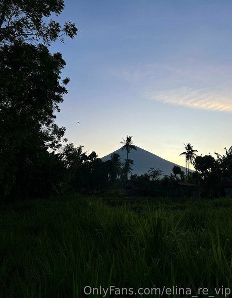 Elina re vip pornstar picture